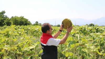 Erzincan tarım sektöründe son yıllarda hızlı bir yayılış trendine giren