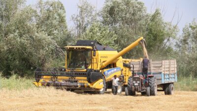 Ağustos ayının ortalarının gelmesiyle birlikte Erzincan’da buğday hasadında sona yaklaşıldı.