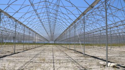 Erzincan’da seracılık sektörü adeta geleceğe göz kırpıyor