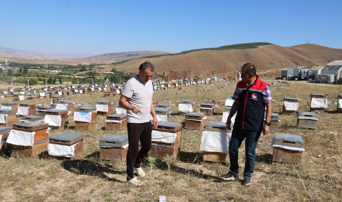 Arıcılık sektörünün Erzincan’da ürettiği ballar, direk büyükşehirlere pazarlanıyor.