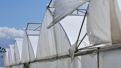 Sera örtüsü ile ilgili taleplerin alınmasının ardından başvuruda bulunan seralarda