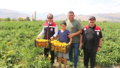 Erzincan’ın Oğlaktepe Köyü’nde biber yetiştiriciliği yapan Sinan Bulut, bu sezon