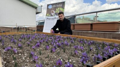 Ülkü Ocakları Genel Merkez binasının çatısında renkli görüntüler oluştu. Ülkü