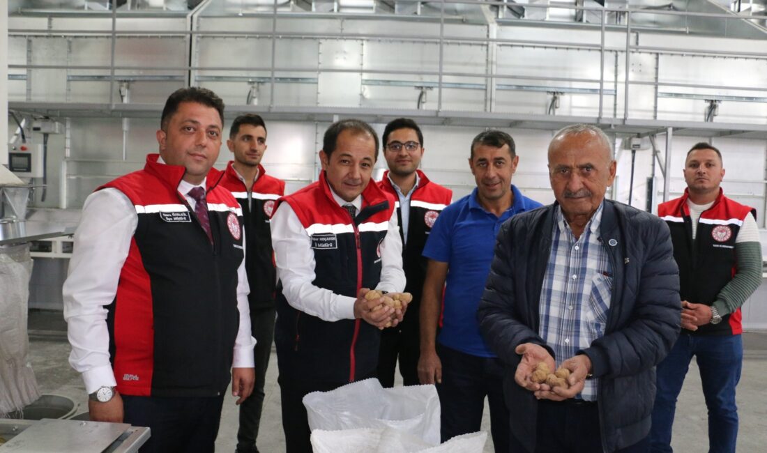 1398 Rakımlı Köyde Ülkenin En Kaliteli Cevizleri Yetiştiriliyor