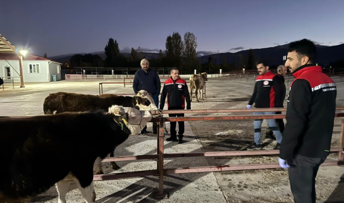 Erzincan Canlı Hayvan Pazarı Açıldı Bir süredir kapalı olan Erzincan Canlı Hayvan Pazarı, 30 Ekim