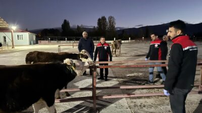 Bir süredir kapalı olan Erzincan Canlı Hayvan Pazarı, 30 Ekim
