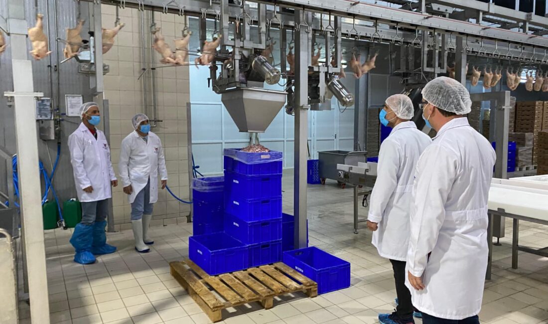 Erzincan’da Tavuk Kombinasında Denetim Gerçekleştirildi