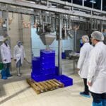 Tavuk Kombinasında Denetim