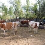 Uzman Eller Projesi İle Kendi İşlerinin Patronu Oldular