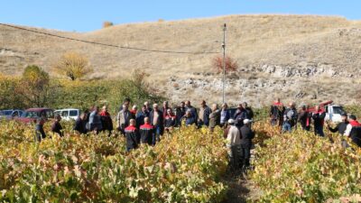 Erzincan’ın Üzümlü ilçesine bağlı Pişkidağ köyünde üzüm bağlarında sonbahar döneminde