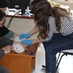 Kedi ve Köpek Sahipleri Dikkat