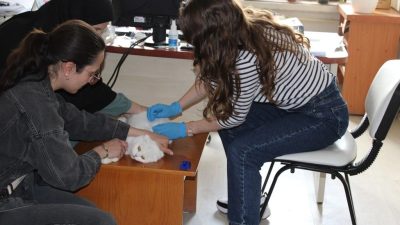 Dijital Kimlik Zorunluluğu 2025'te Tamamlanıyor