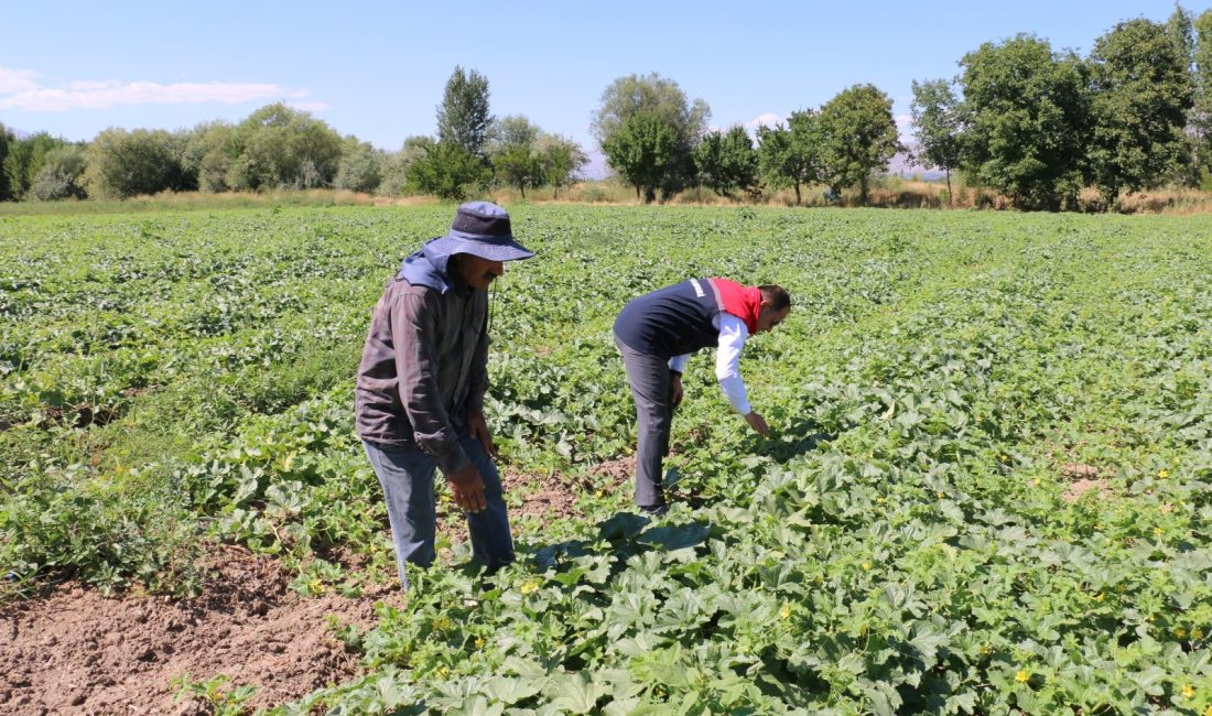 ÇKS Başvuruları 31 Aralık’ta Sona Eriyor Erzincan’da 2026 üretim yılı için Çiftçi Kayıt Sistemi (ÇKS) başvurularında