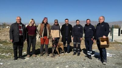  “Arama Kurtarma Köpeği Eğitimi" Projesi kapsamında,  gönüllü köpek