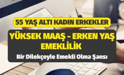 55 yaşında emeklilik: Yüksek maaş için kritik formül