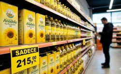 Ayçiçek yağında Tarım Kredi hamlesi: Fiyat dipte