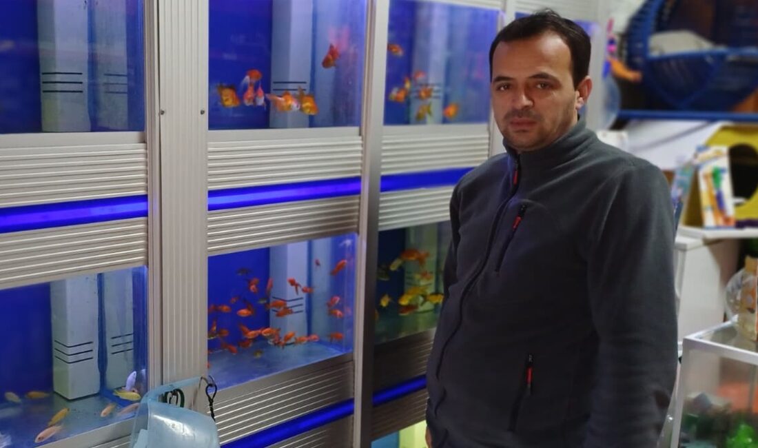 Son yıllarda Türkiye genelinde yükselen evcil hayvan sahiplenme trendi, Erzincan’da