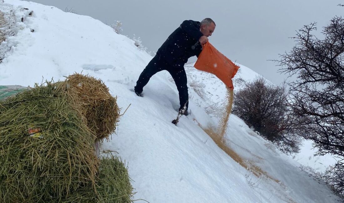 Erzincan’ın Üzümlü ilçesine bağlı Geyikli mahallesinde, yaban hayatına destek amacıyla