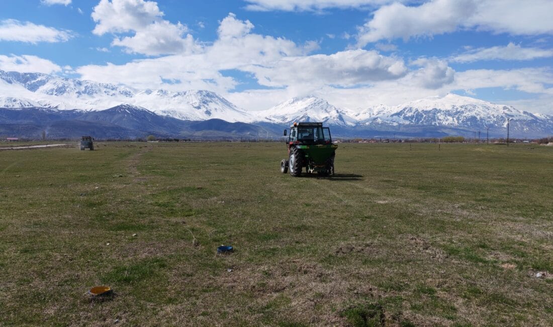 Erzincan’da baharın gelişiyle birlikte hayvancılığın bel kemiğini oluşturan mera alanlarında