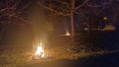 Erzincan’ın Üzümlü ilçesine bağlı Bayırbağ köyünde çiftçiler, ani hava sıcaklığı