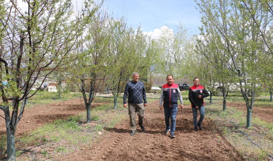Erzincanlı teknik direktör Yılmaz Toyran, Yeniköy’de kurduğu 600 ağaçlık modern