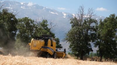 Erzincan Belediyesi tarafından tarımsal üretimi desteklemek amacıyla ekimi gerçekleştirilen 1.095