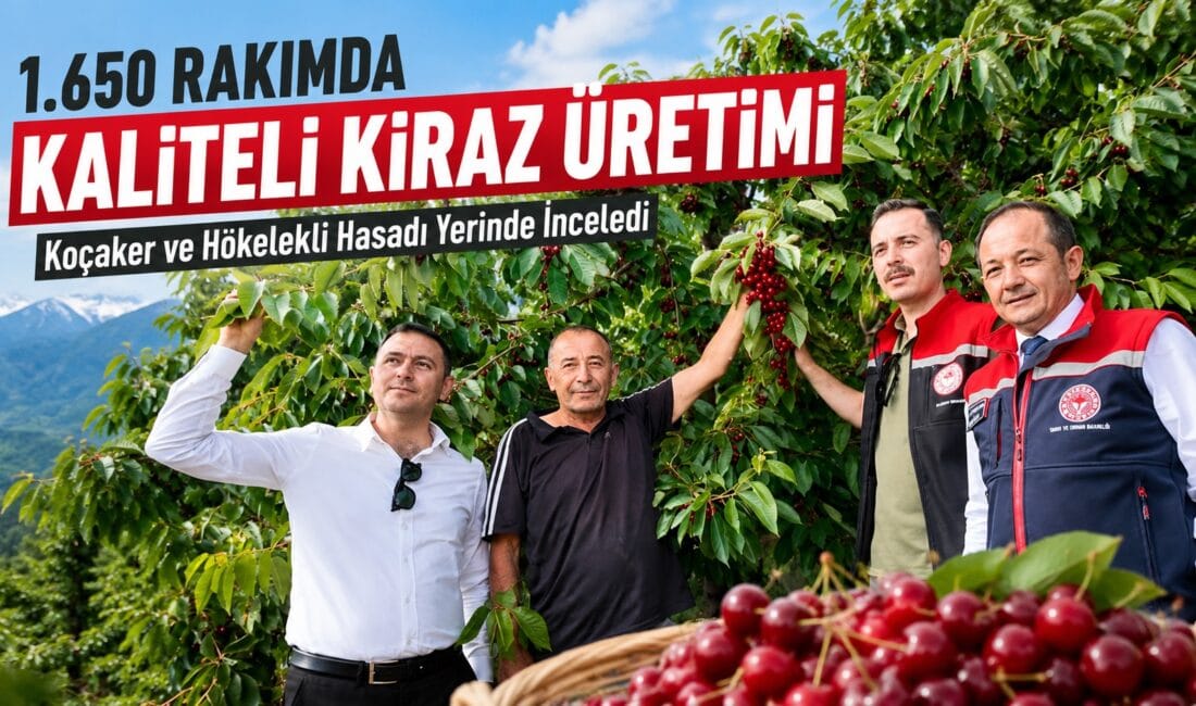 1.650 Rakımda Kaliteli Kiraz Üretimi Erzincan Tarım ve Orman İl Müdürü Alper Koçaker ile Üzümlü
