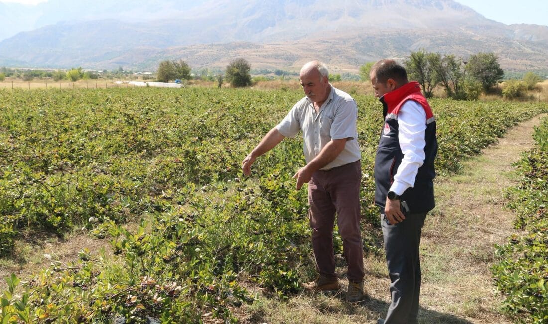Erzincan’da tarımsal üretimde ürün çeşitliliğini artırmaya yönelik çalışmalar devam ederken,