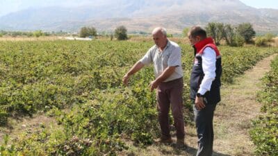 Erzincan’da tarımsal üretimde ürün çeşitliliğini artırmaya yönelik çalışmalar devam ederken,