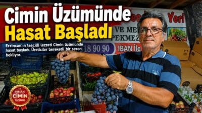 Erzincan’ın coğrafi işaretli ve tarımsal marka değerlerinden biri olan Cimin