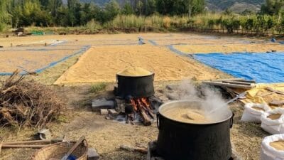 Erzincan’da buğday hasadının tamamlanmasının ardından, kış hazırlıklarının önemli geleneklerinden biri