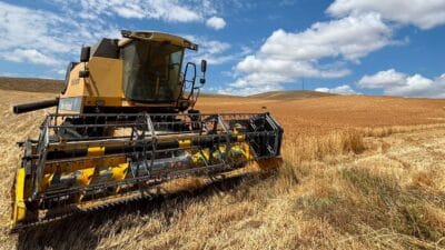 Erzincan’ın Otlukbeli ilçesinde hububat hasat sezonu devam ederken, İlçe Tarım